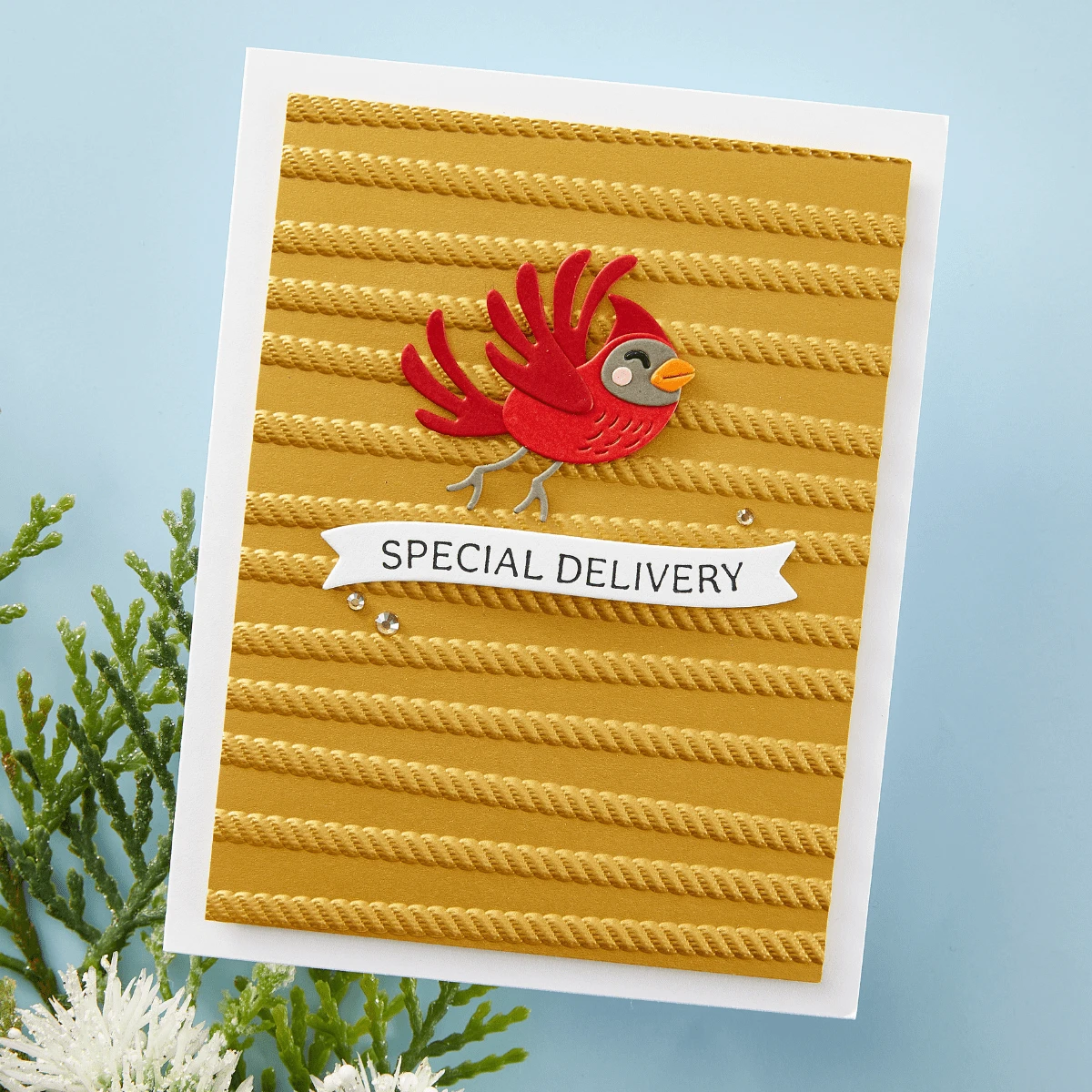 All Wrapped Up 3D Embossing Folder From The Dancin' Christmas Friends Collection 2 All Wrapped Up 3D Embossing Folder From The Dancin' Christmas Friends Collection - Image 2