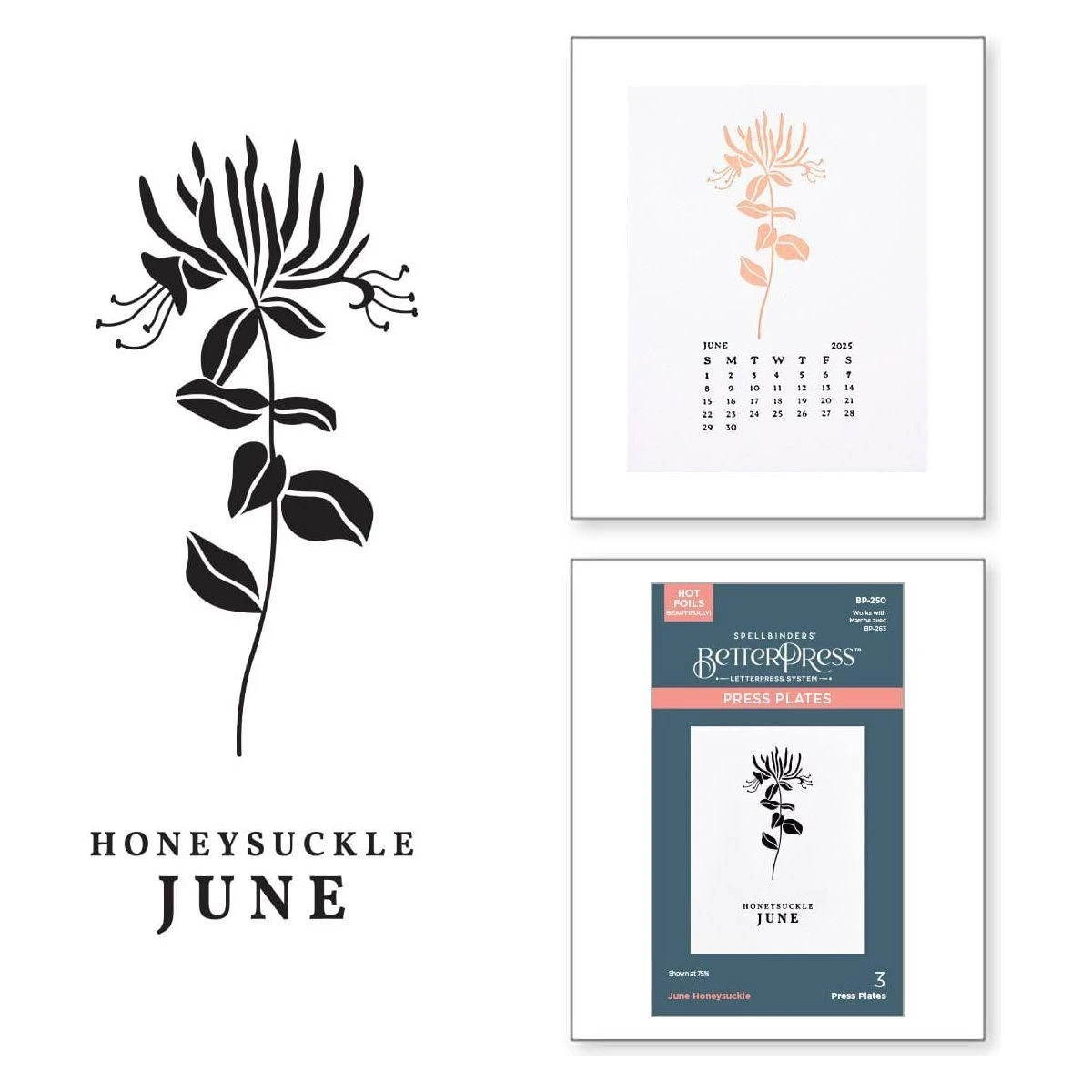 June Honeysuckle Press Plates From The Florals Through The Year Collection 1 June Honeysuckle Press Plates From The Florals Through The Year Collection