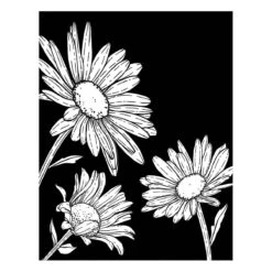 Daisy Trio BetterPress And Stencil Bundle From The Yana's Daisies Collection By Yana Smakula -Woodland Scenics Shop BP 299 Yana s Daisies Yana Smakula Daisy Trio Color d06b6a59 6c31 48be b626 84aa9ee5a202