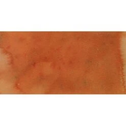 The Crafters Workshop - Grassland ColorSparx® Watercolor Powders -Woodland Scenics Shop BurntOrangerectanglesmall