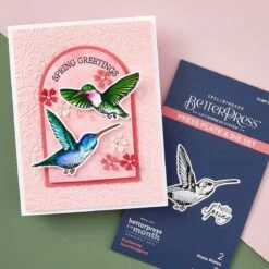 Deluxe Caboodle Bonus - Fluttering Hummingbird Press Plate & Die Set - Coordinating February 2024 BetterPress Plate Of The Month Club -Woodland Scenics Shop CLBP FEB24 Product 1200x1200 Project 2