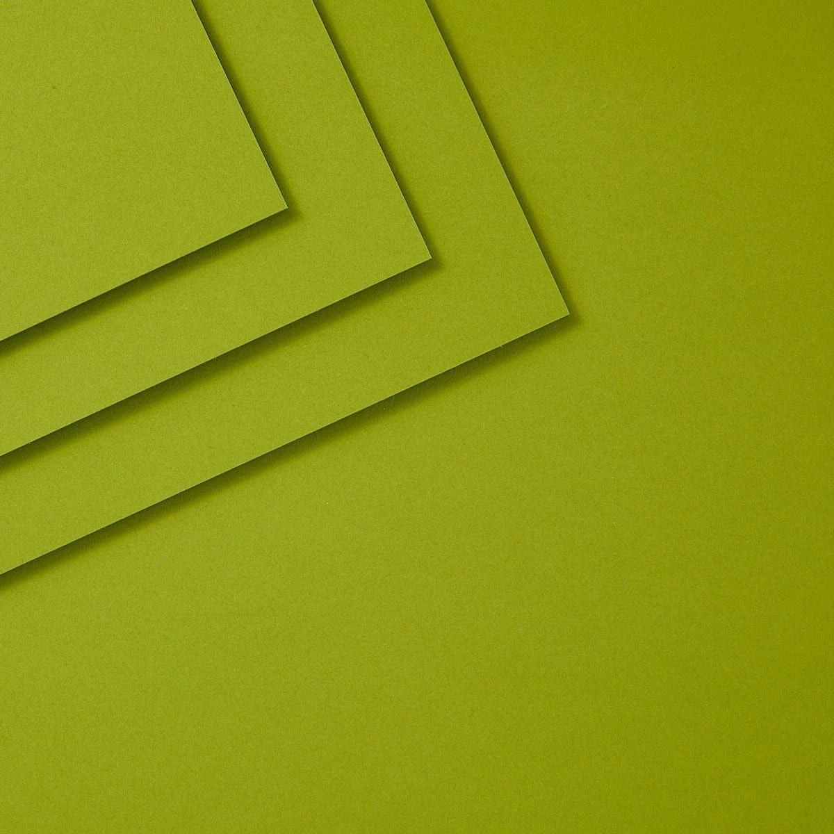 Rainforest ColorWheel Cardstock 12" X 12" - 10 Sheets 1 Rainforest ColorWheel Cardstock 12" X 12" - 10 Sheets