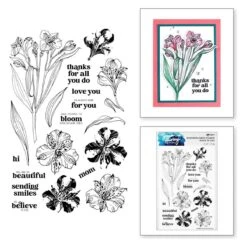 Heartfelt Blooms Stamp & Die Bundle By Simon Hurley -Woodland Scenics Shop HUR88776 heartfelt blooms Combo adb2b063 c619 452c ae73 a8d4647283f8