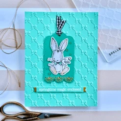 Petite Bow -3D Embossing Folder Of The Month -Woodland Scenics Shop IMG 9579