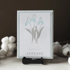 Florals Through The Year BetterPress Plates Bundle -Woodland Scenics Shop January