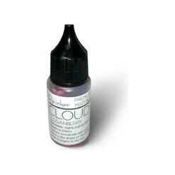 Lisa Horton Crafts - Loganberry Blending Ink - Reinker