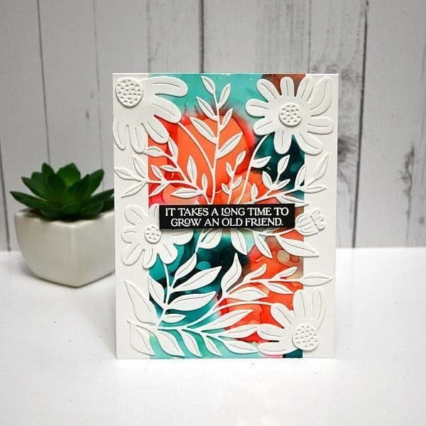 More Fresh Picked Bundle 2 More Fresh Picked Bundle - Image 2