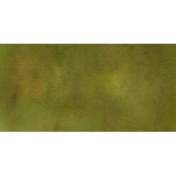 The Crafters Workshop - Grassland ColorSparx® Watercolor Powders -Woodland Scenics Shop OliveGreenrectanglesmall
