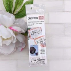 Pear Blossom Press - One Light 5-Pack -Woodland Scenics Shop One Light 5 pack Pac 2