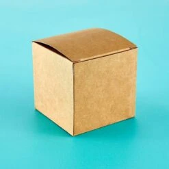 Clearbags - Kraft Pop & Lock Box 25pk 10 Clearbags - Kraft Pop & Lock Box 25pk -Woodland Scenics Shop PLB58K Kraft Pop Lock Box Product 3