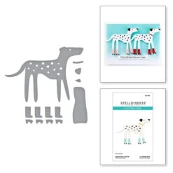 Roller Disco Dottie Etched Dies From The Out And About Collection