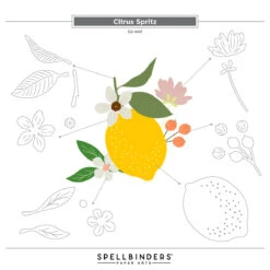 Citrus Spritz Etched Dies From The La Dolce Vita Collection 27 Citrus Spritz Etched Dies From The La Dolce Vita Collection -Woodland Scenics Shop S2 445 La Dolce Vita Citrus Spritz Assembly Guide