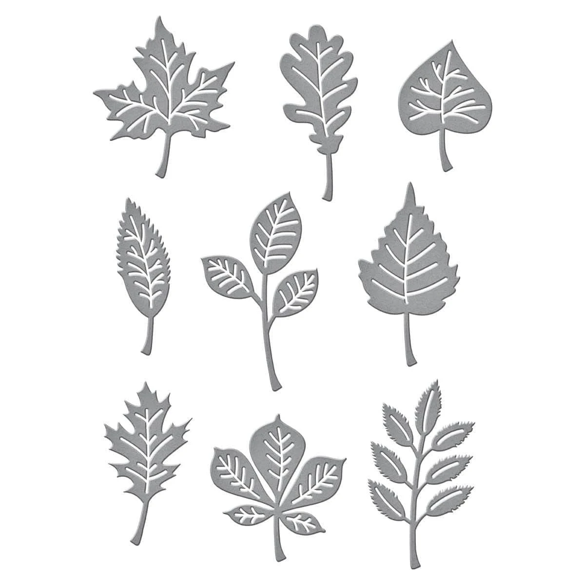 Autumn Leaves Etched Dies From The Fall Traditions Collection 3 Autumn Leaves Etched Dies From The Fall Traditions Collection - Image 3