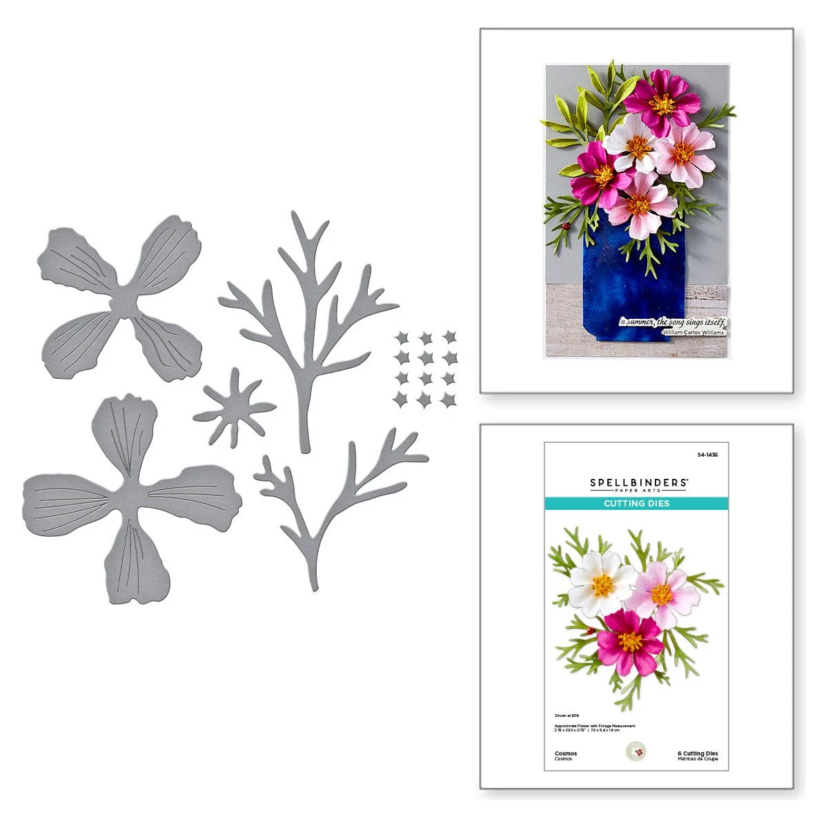 Cosmos Etched Dies From The Summer Solstice Garden Collection By Susan Tierney-Cockburn 1 Cosmos Etched Dies From The Summer Solstice Garden Collection By Susan Tierney-Cockburn