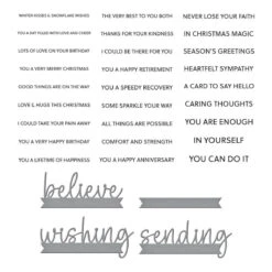 Snowflake Wishes Clear Stamp & Die Set From The Bibi's Snowflakes Collection By Bibi Cameron -Woodland Scenics Shop SDS 185 Bibi s Snowflakes Bibi Cameron Snowflake WIshes Color