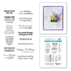 Hummingbird Sentiments Clear Stamp Set From The Bibi's Hummingbirds Collection
