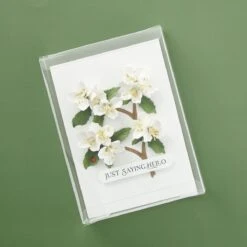 Clearbags - Crystal Clear Boxes®(4 7/8" X 1" X 6 5/8") - 25 Pack