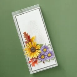 Clearbags - Crystal Clear Boxes®(4 1/4" X 1" X 9 9/16") - 25 Pack