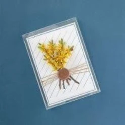 Clearbags - Crystal Clear Boxes® (5 3/8" X 1" X 7 3/8") - 25 Pack